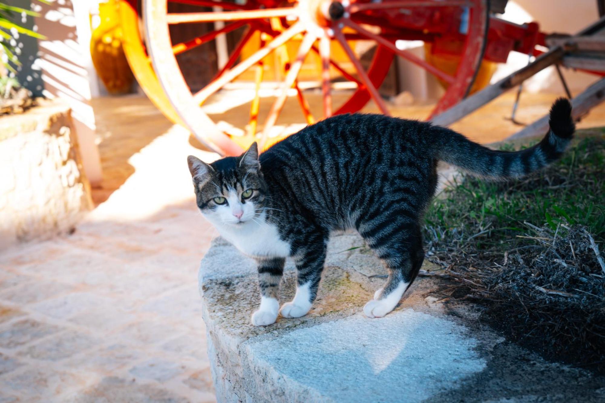 Masseria Pilano Crispiano Buitenkant foto